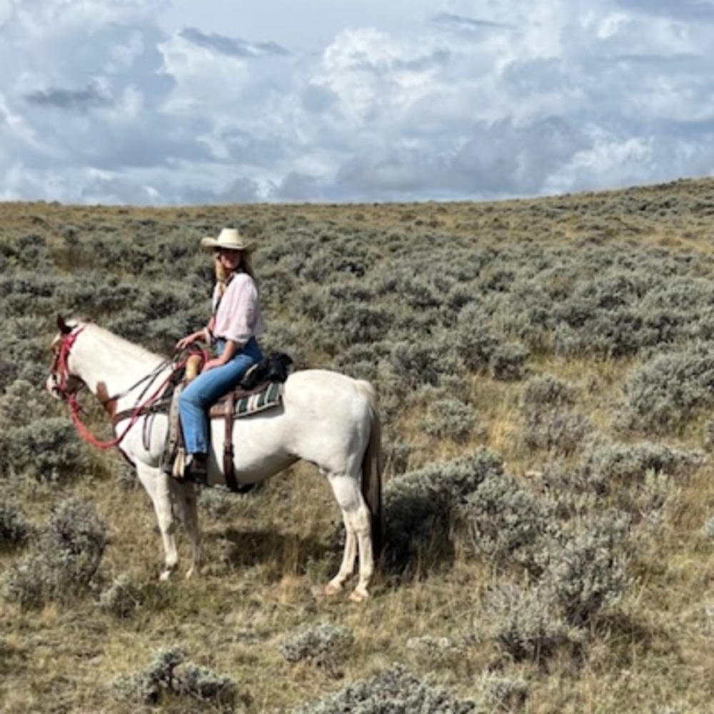 Meet your Posher, Haley